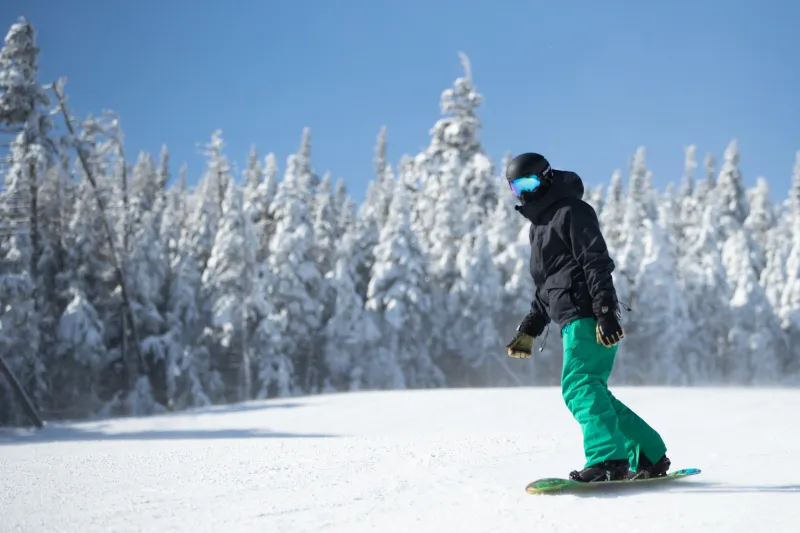 A snowboarder with a black jacket and green snowpants cruises near snow covered trees.