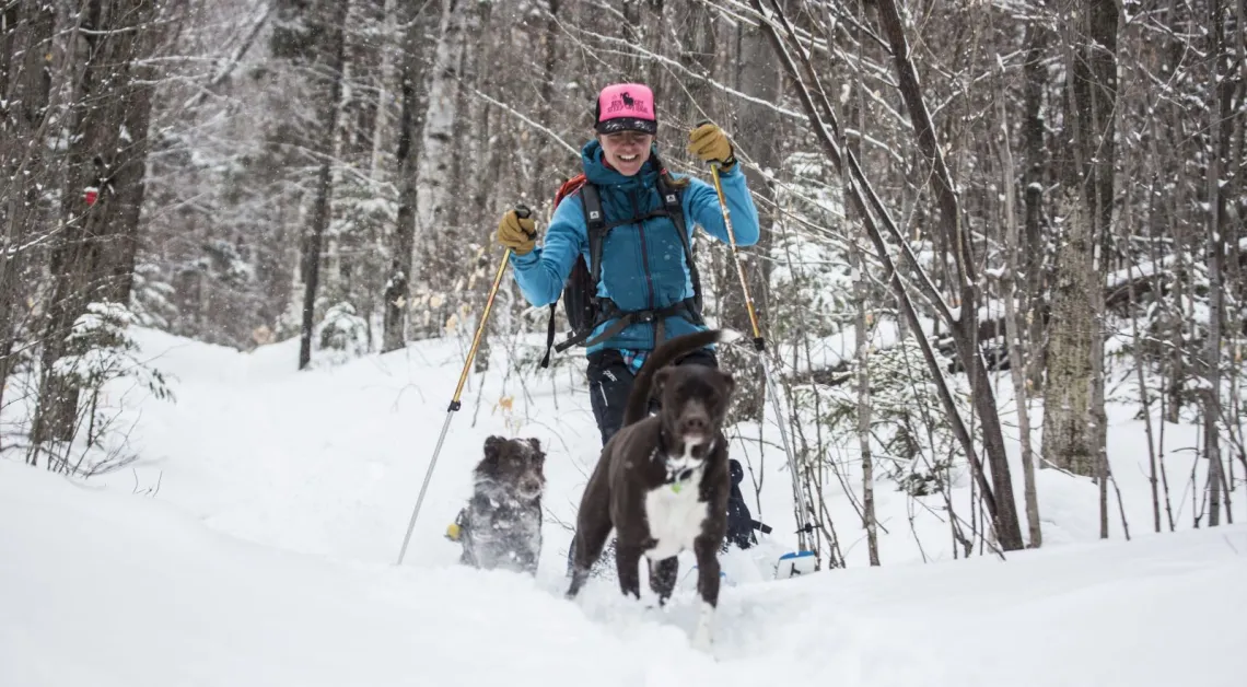 A woman in a light blue coat smiles as she cross country skis with two dogs.