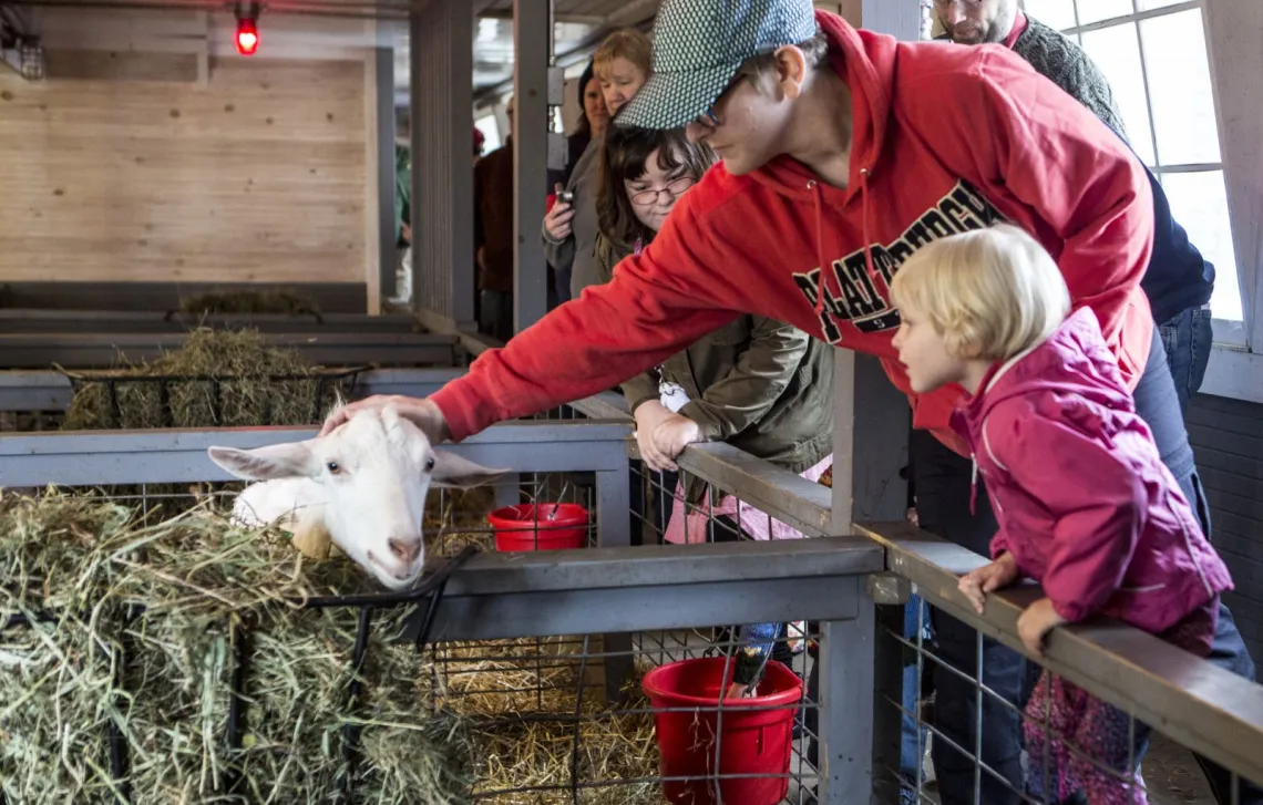 A family pets a goat at Asgaard Farm.