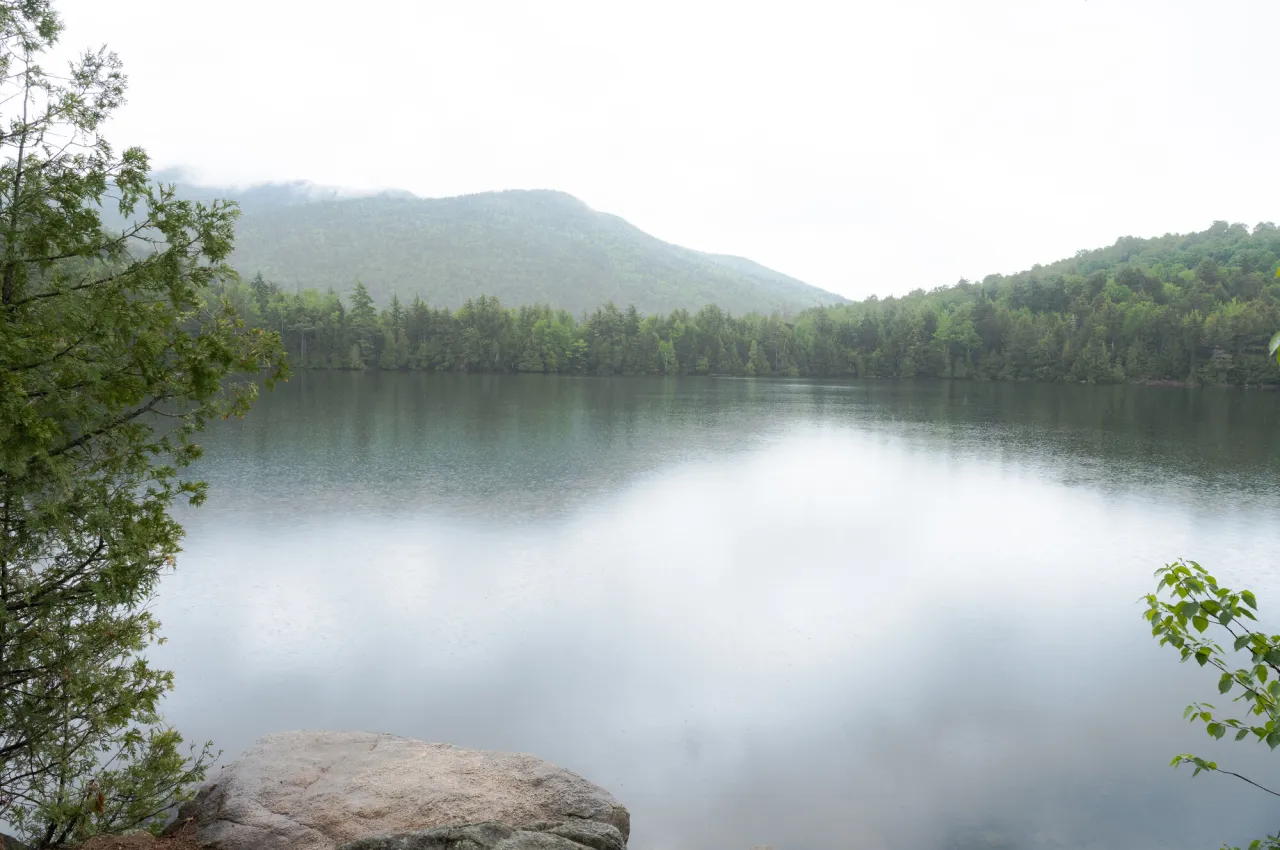 A foggy lake. 