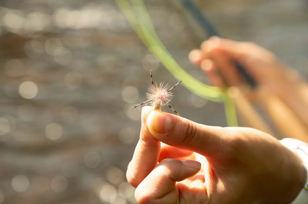 Close-up of a tied fly in a woman's hand.