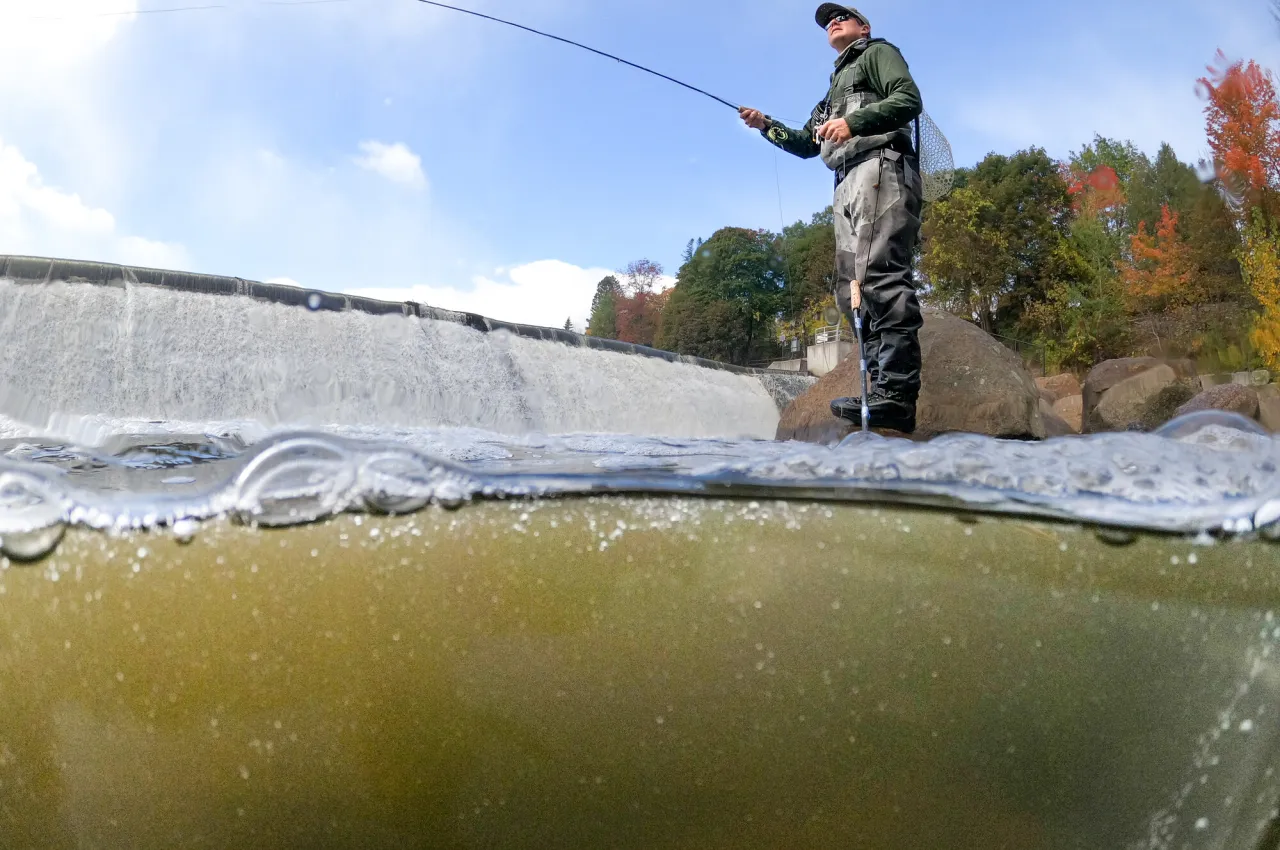 Fly fishing in the fall