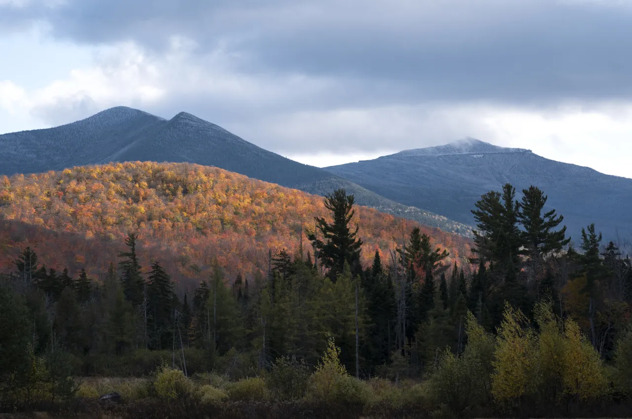 A misty morning in a mountain range in late fall. 