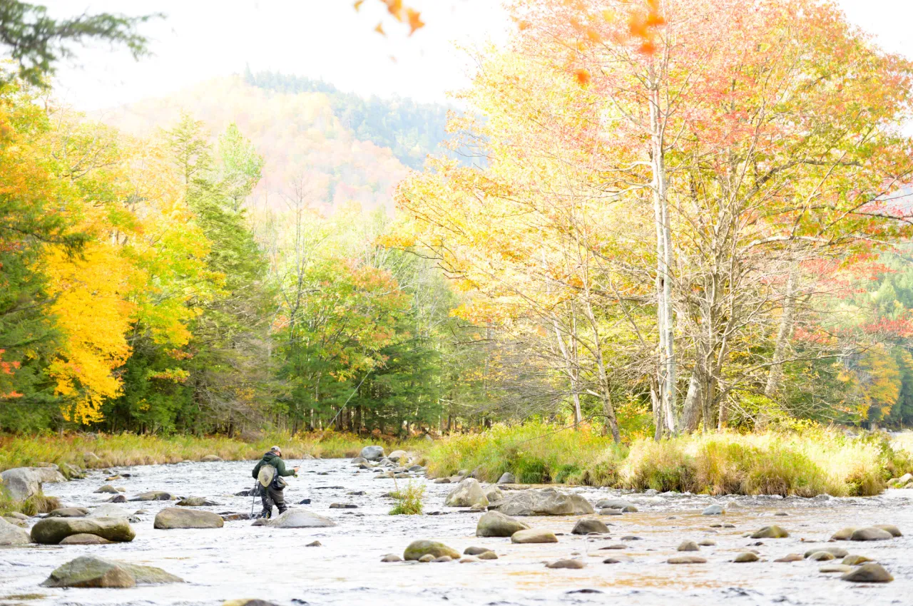 Fall fly fishing.