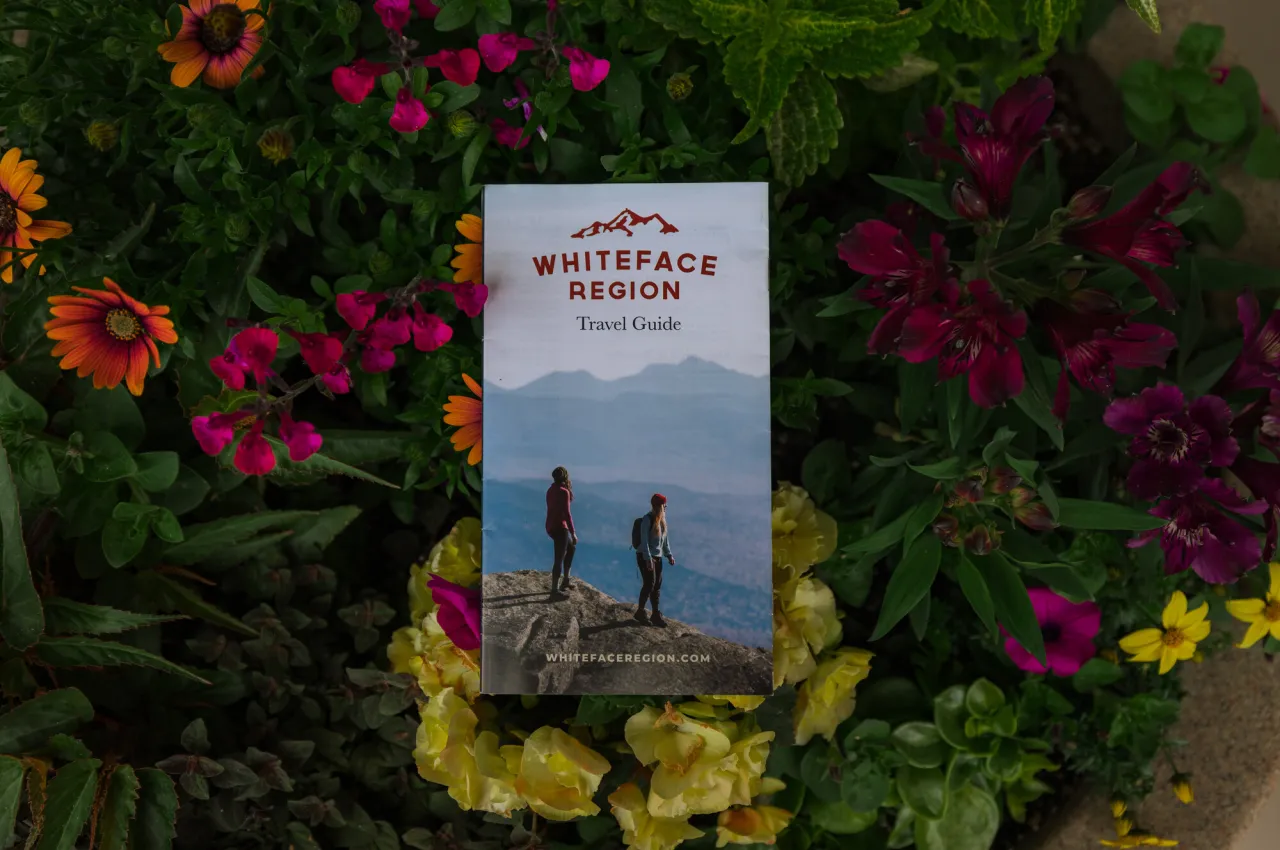Get the Whiteface Region guide.