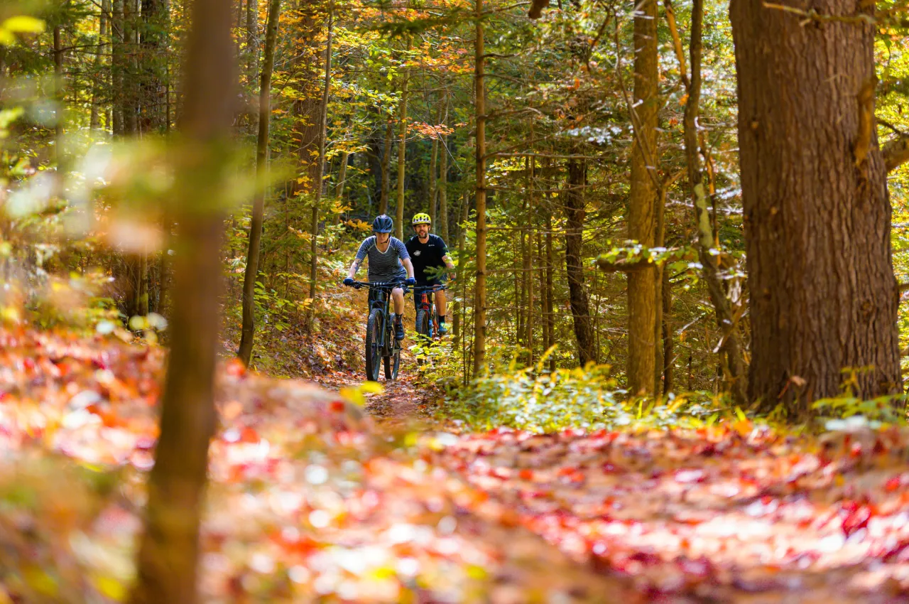 Biking on a fall trail.