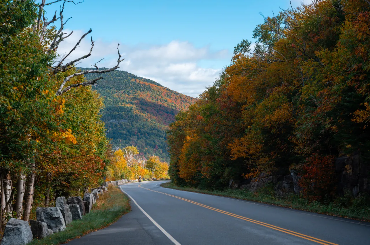 Fall on the Whiteface Highway.