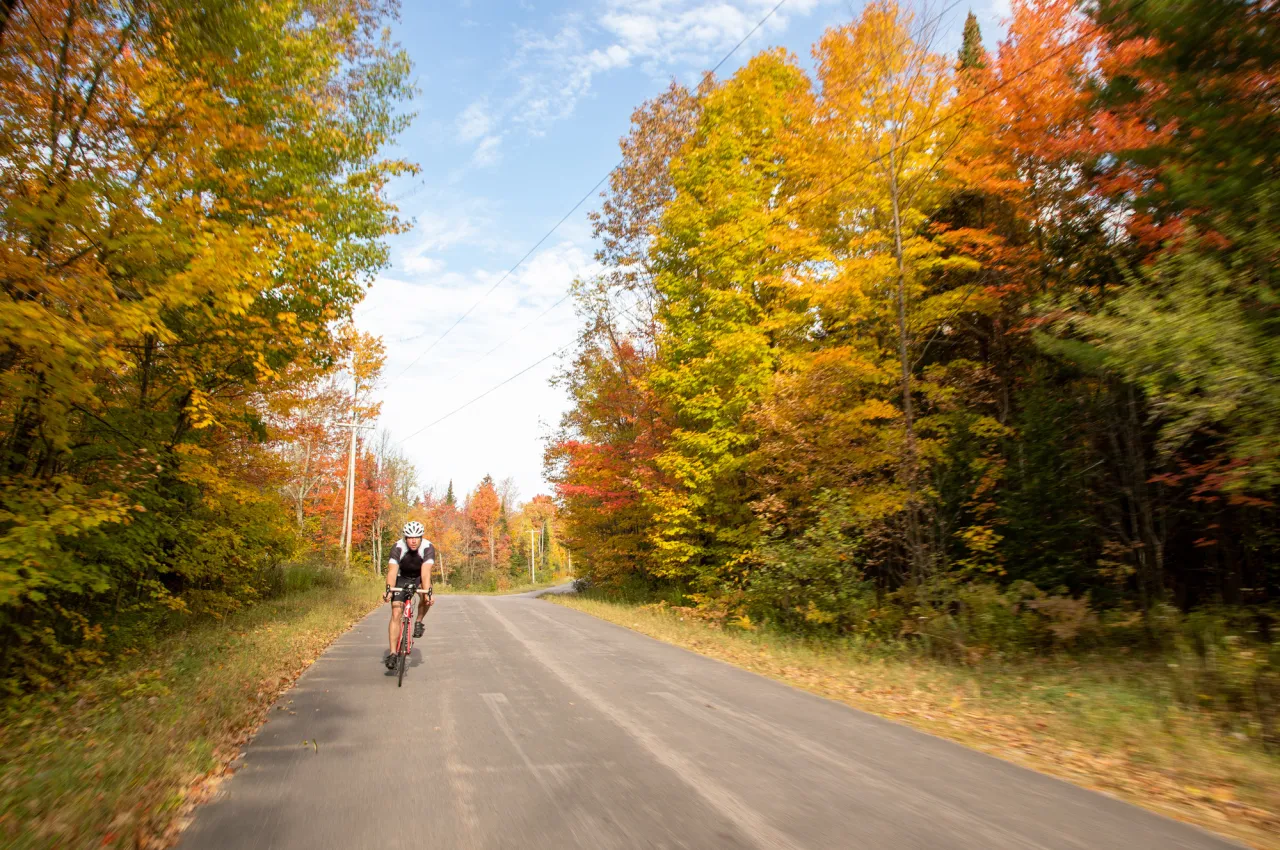 Fall biking on the road.