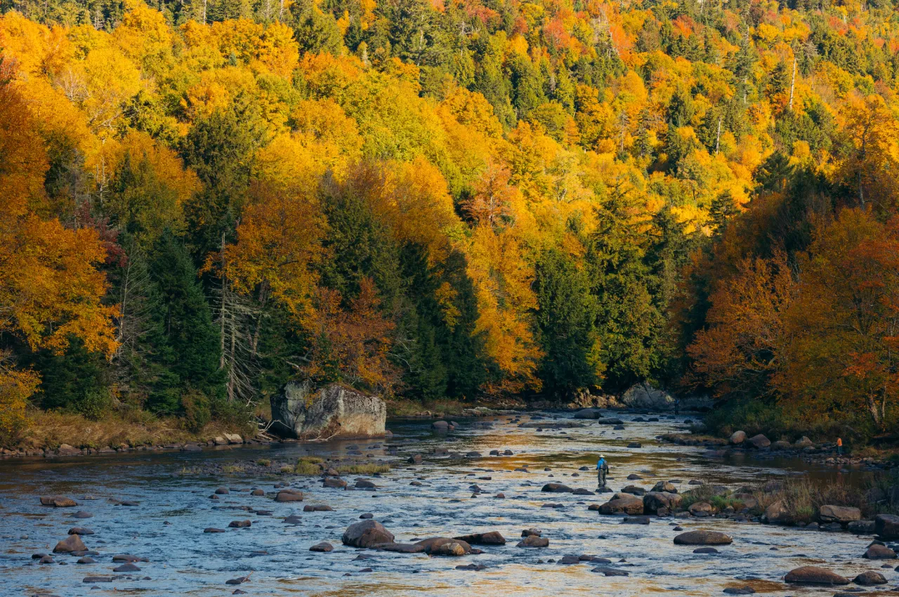 Fall fly fishing