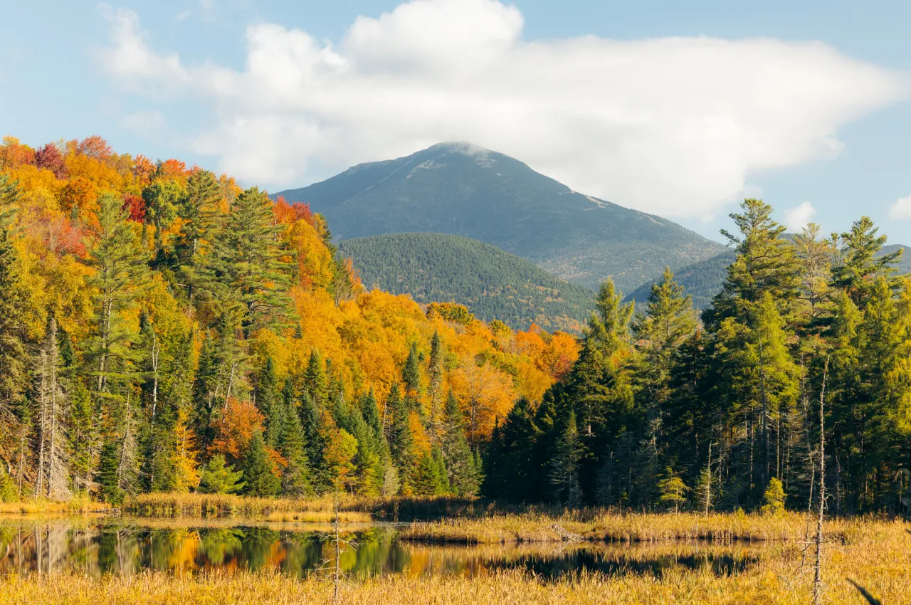 Fall foliage views.