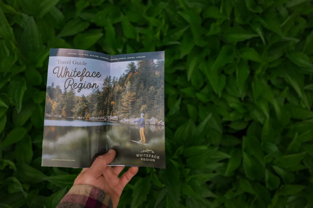 Whiteface Region Guide held open by single hand above greenery.