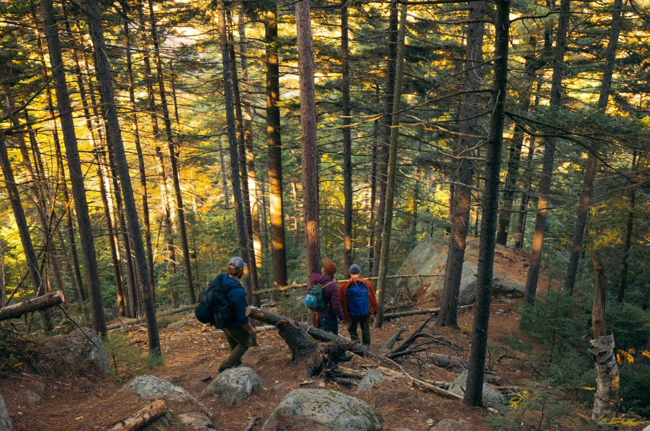 A family hiking through the woods.