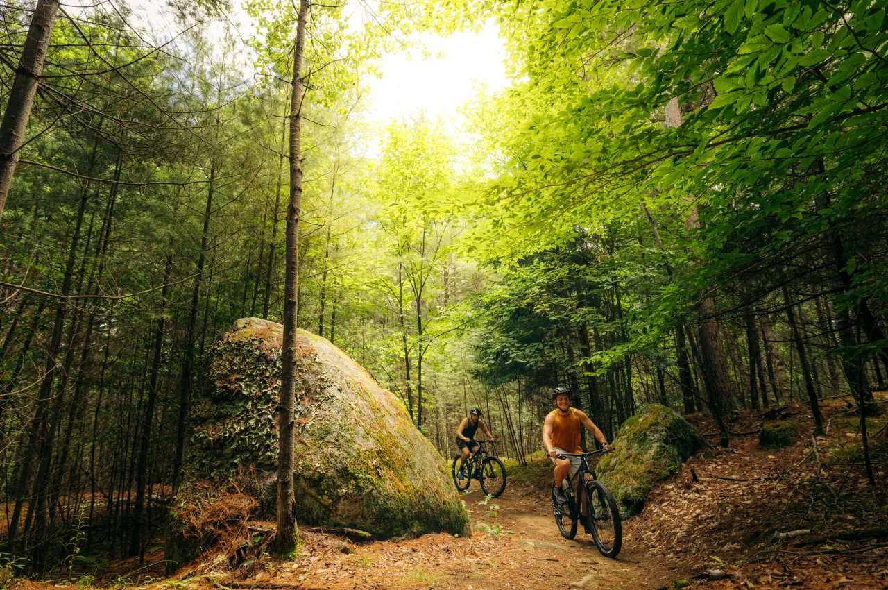 Two people mountain bike in the woods.
