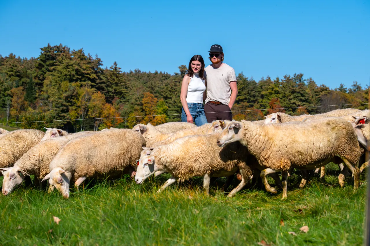 Man and woman in 20s stand side by side with an arm around one another in a pasture looking at a flock of sheep with trees in the background showing hints of fall colors