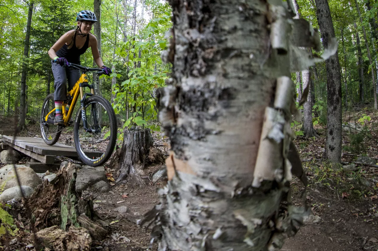 A women mountain bikes on a wooded trail