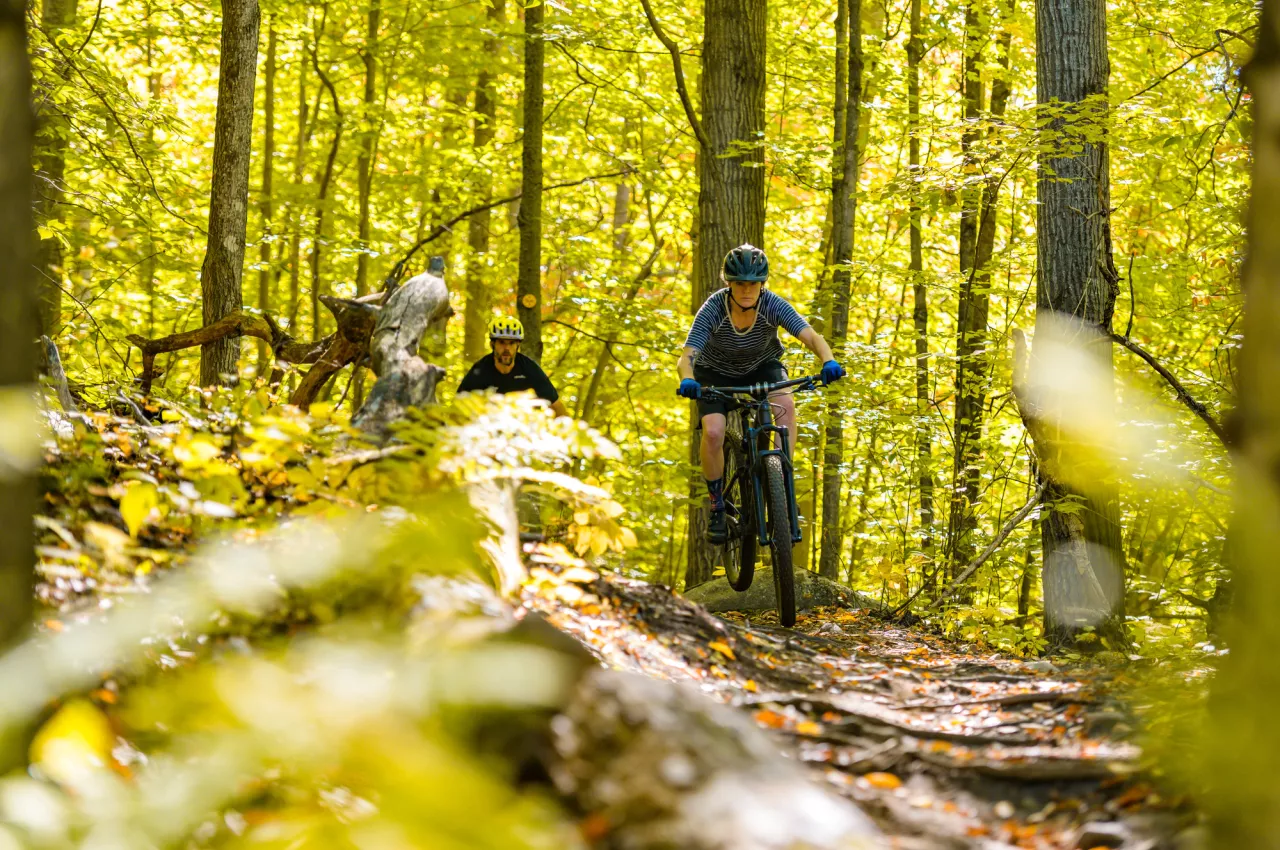 Two mountain bikers on a single track trail in a green forest