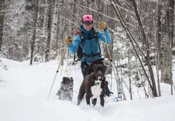 Ski & Snowshoe