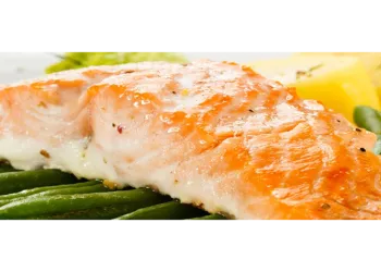 Salmon