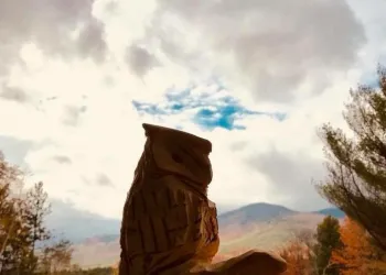 A carved owl on a railing with the mountains and sky behind.