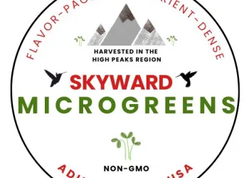 Skyward Microgreens Harvested in the High Peaks Region