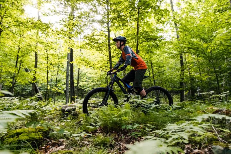 A mountain biker rides on a trail through the woods