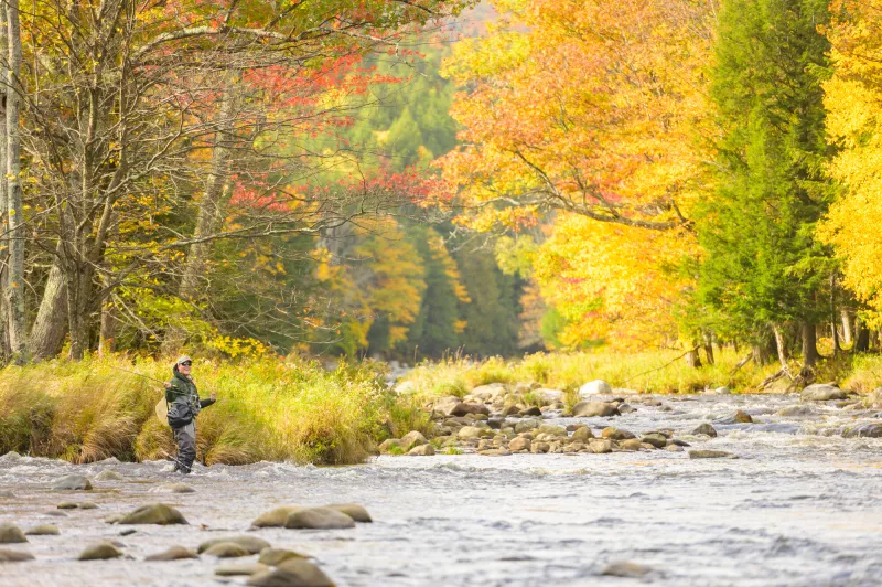 Autumn Fly Fishing in the Adirondacks