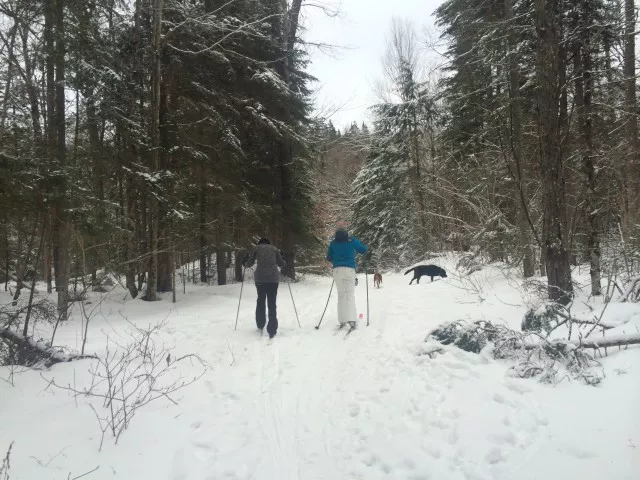 Cross-country skiing Whiteface Landing
