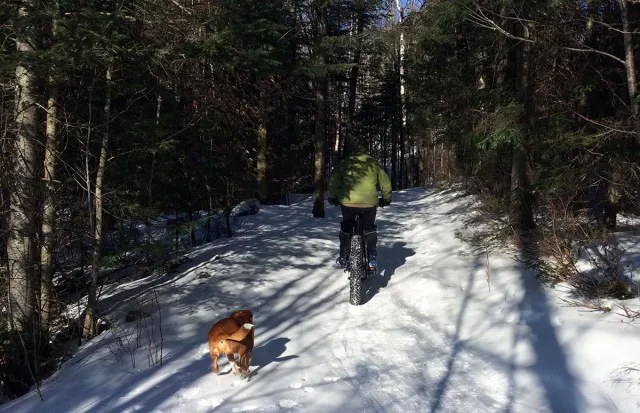 mountain biking with dog