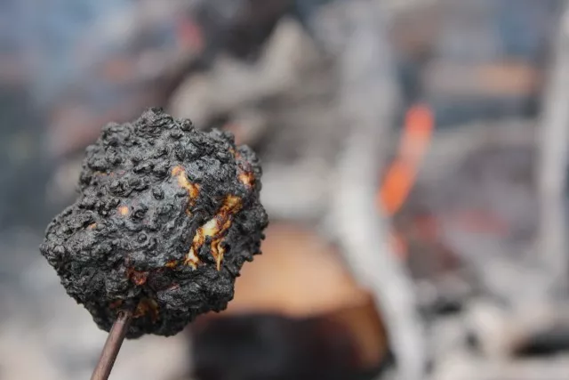 A perfectly roasted marshmallow