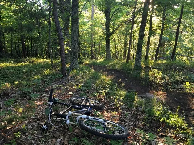 It was a beautiful evening for a ride with the sun pouring through the forest canopy