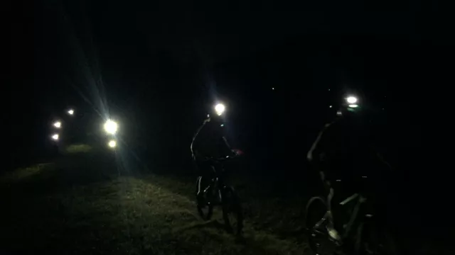 Fireflies in the night!?