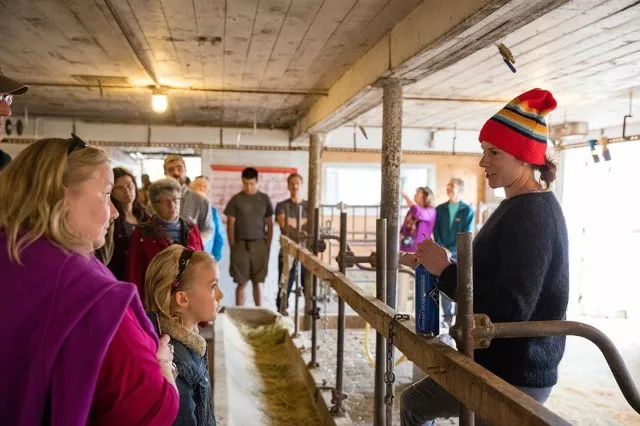 The farm tour is a popular highlight of Sugar House Creamery. (photo Lisa J. Godfrey)