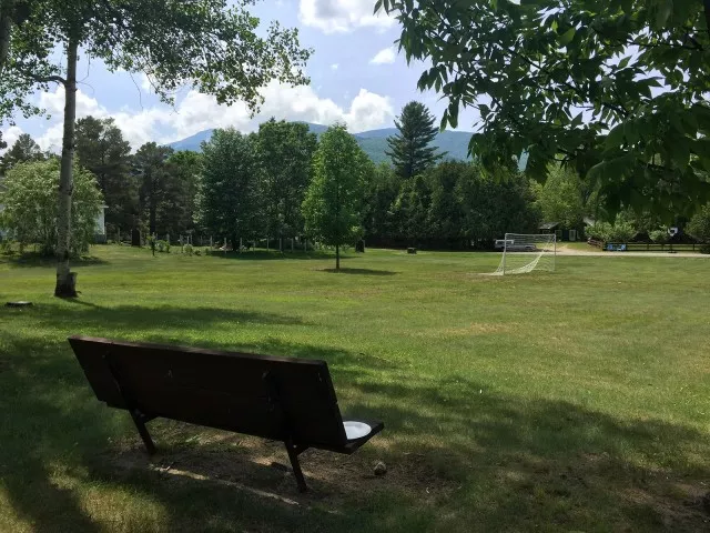 Festival Field picnic spot