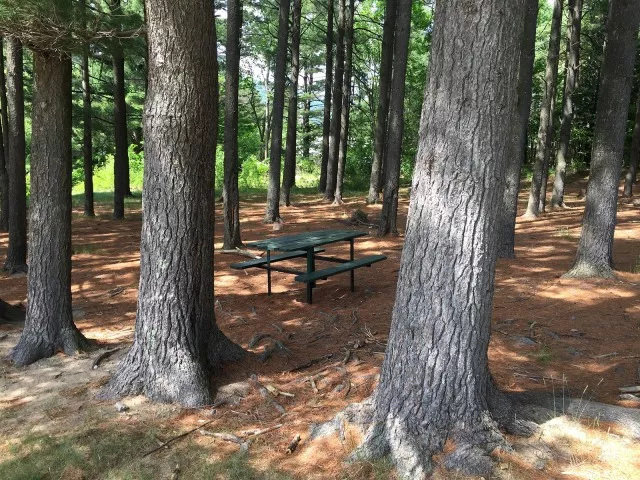 Town Park picnic spot