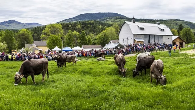 Suagr House Creamery, in the foothills of the Adirondack High Peaks