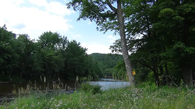 A meadow near the river in Jay.