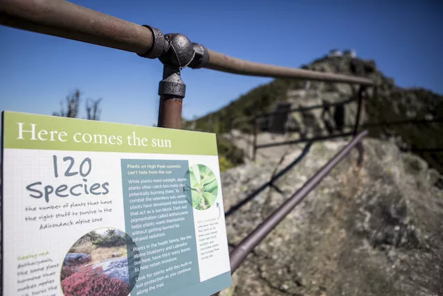 The walk along the peak includes informational signboards about the ecology around the mountain.