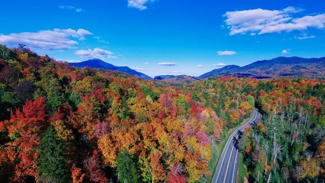 We have some of the best fall foliage in the world. It's simply a fact.
