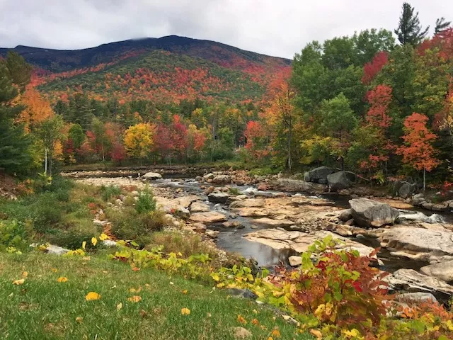 The peak of fall color goes all the way up the mountain.