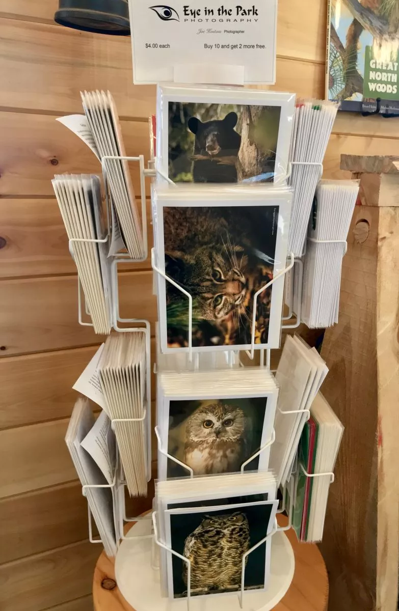 Gorgeous wildlife cards featuring the animals in residence.