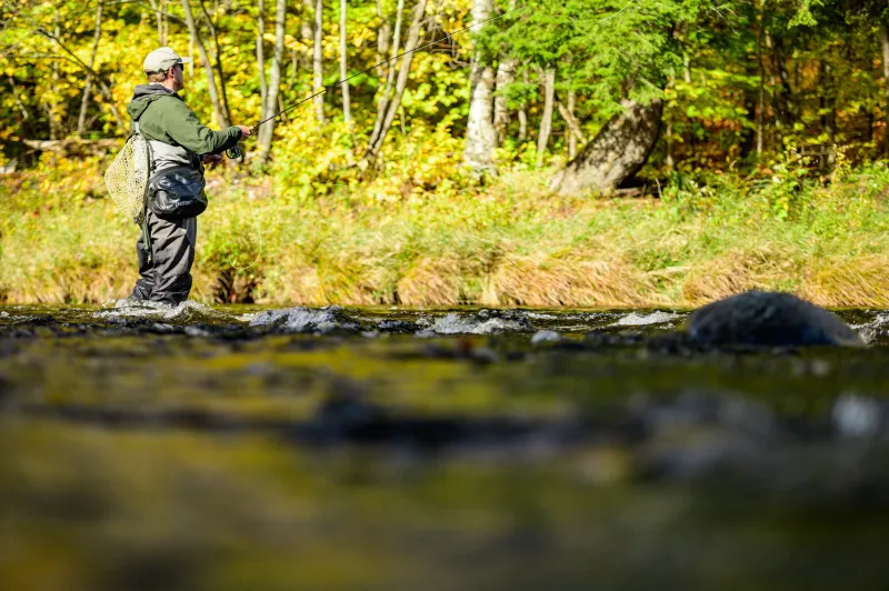 A fly fisherman casting on the Ausable River.