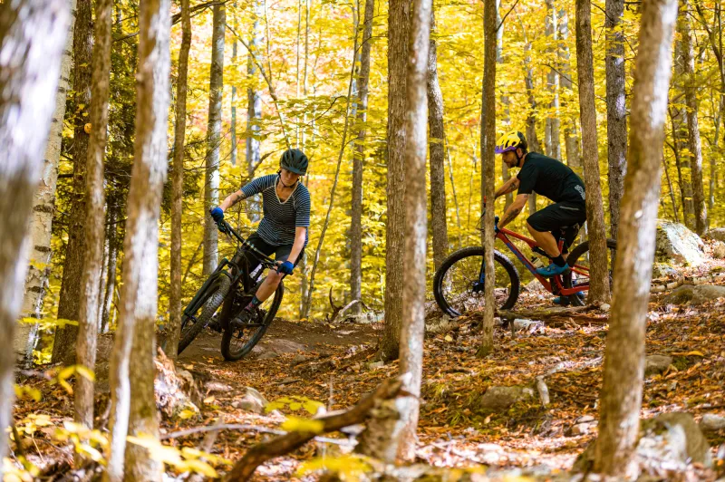 Two mountain bikers ride down the wooded trails of Hardy Road