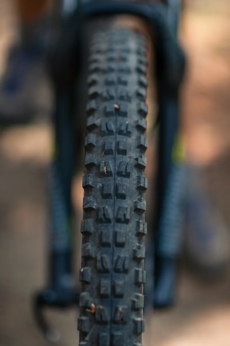 A closeup photo of a mountain bike tire