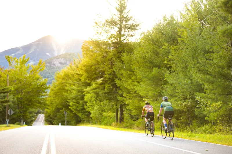 Two bikers ride towards a mountain on a tree-lined road during sunset