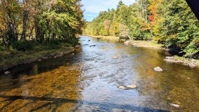A shallow river flows past low river banks lined with trees and small boulders.