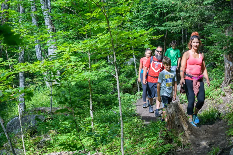 a family climbs single file along a mountain path covered in green trees