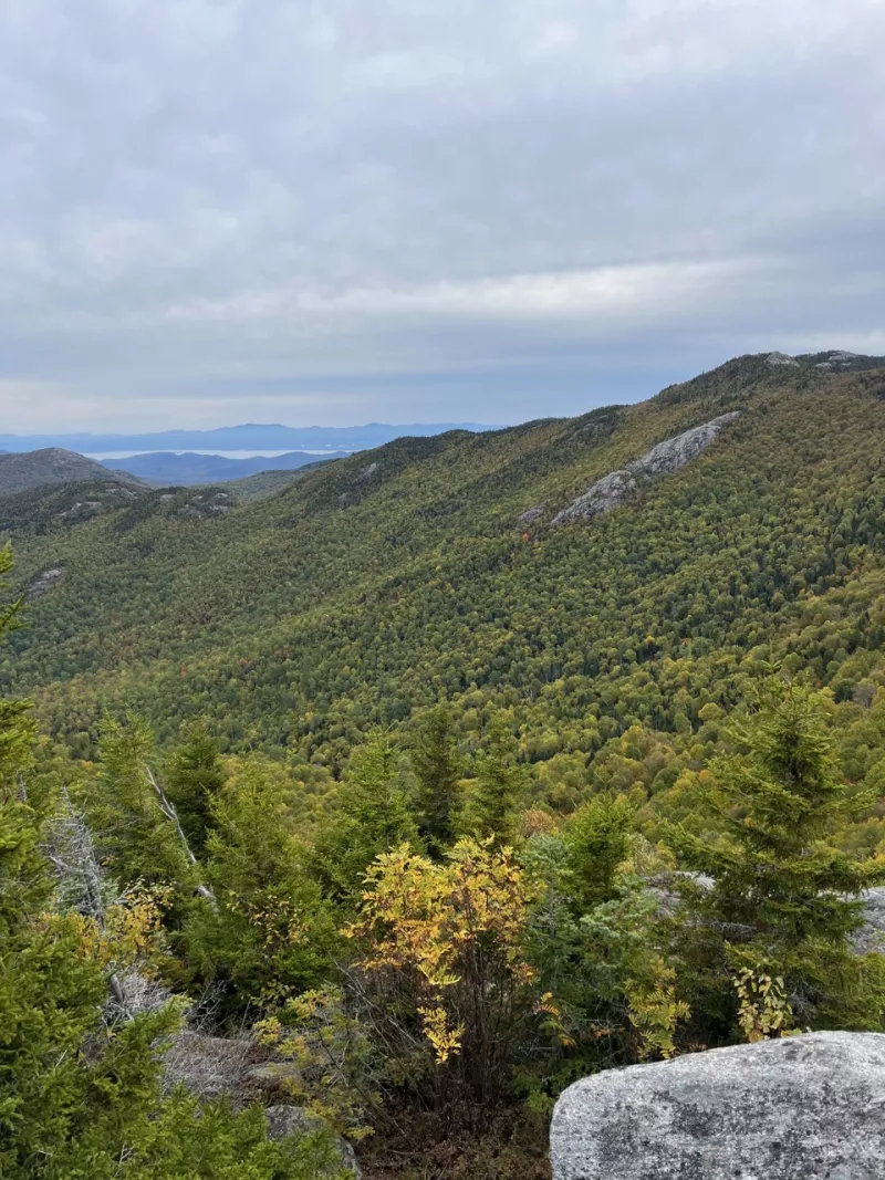 Looking down over mountainous forests from an Adirondack mountain summit.
