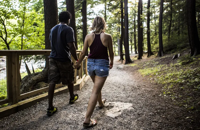 A couple walks hand in hand along a path in sun-dappled woods.