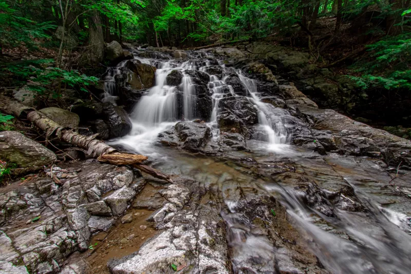 Water spills down a complex waterfall, surrounded by a deciduous forest on a summer day
