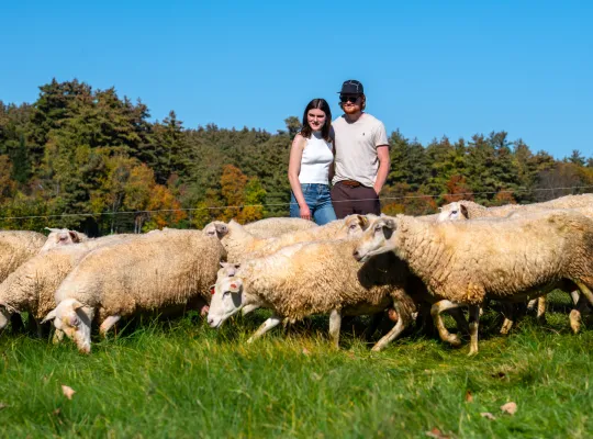 Male/female couple stands on blue sky day in field with herd of sheep
